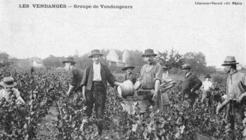 Les vendanges d'autrefois