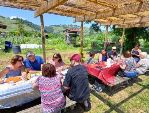 Anniversaire : au bonheur des jardins familiaux