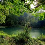 les 7 rendez-vous de mon Parc