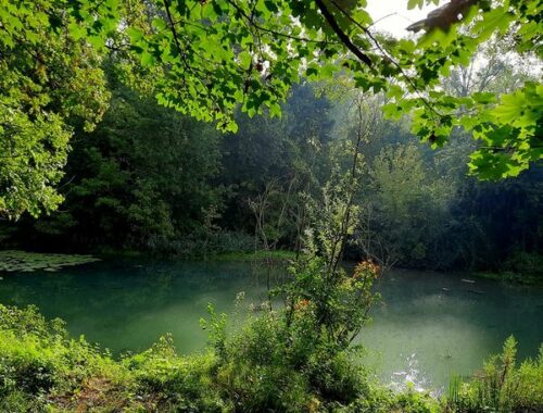 les 7 rendez-vous de mon Parc