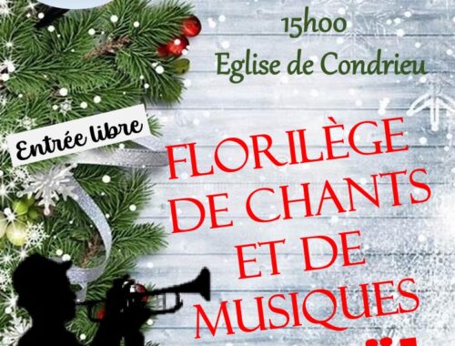 Concert en l'église Saint-Etienne